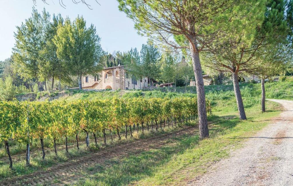 Agriturismo Wine Casale Villa Chiara Torgiano Ngoại thất bức ảnh